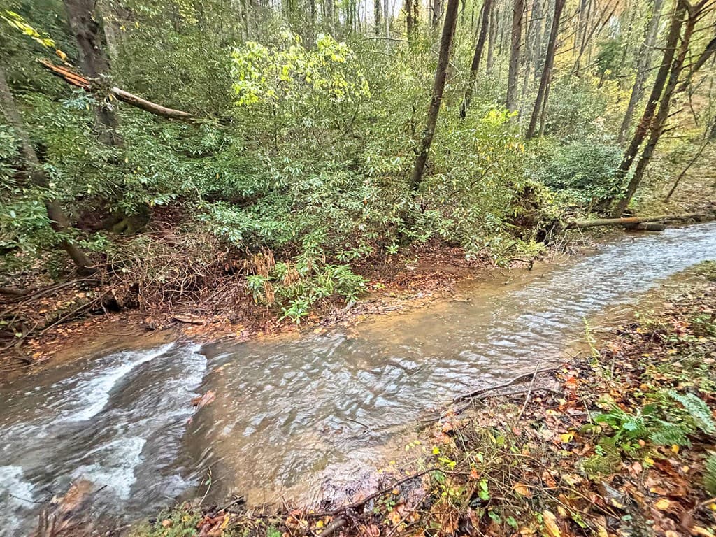 137 Faircloth Drive, Blue Ridge GA 30513 - Photo