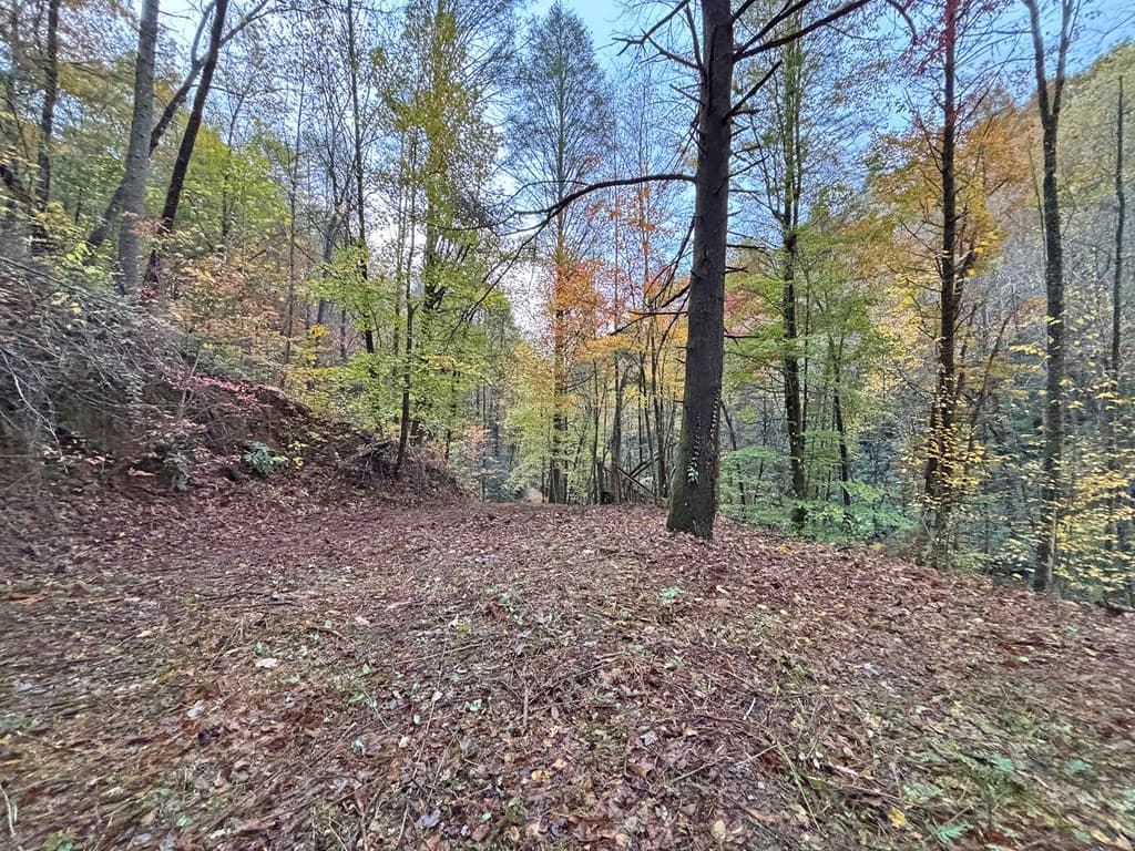 137 Faircloth Drive, Blue Ridge GA 30513 - Photo