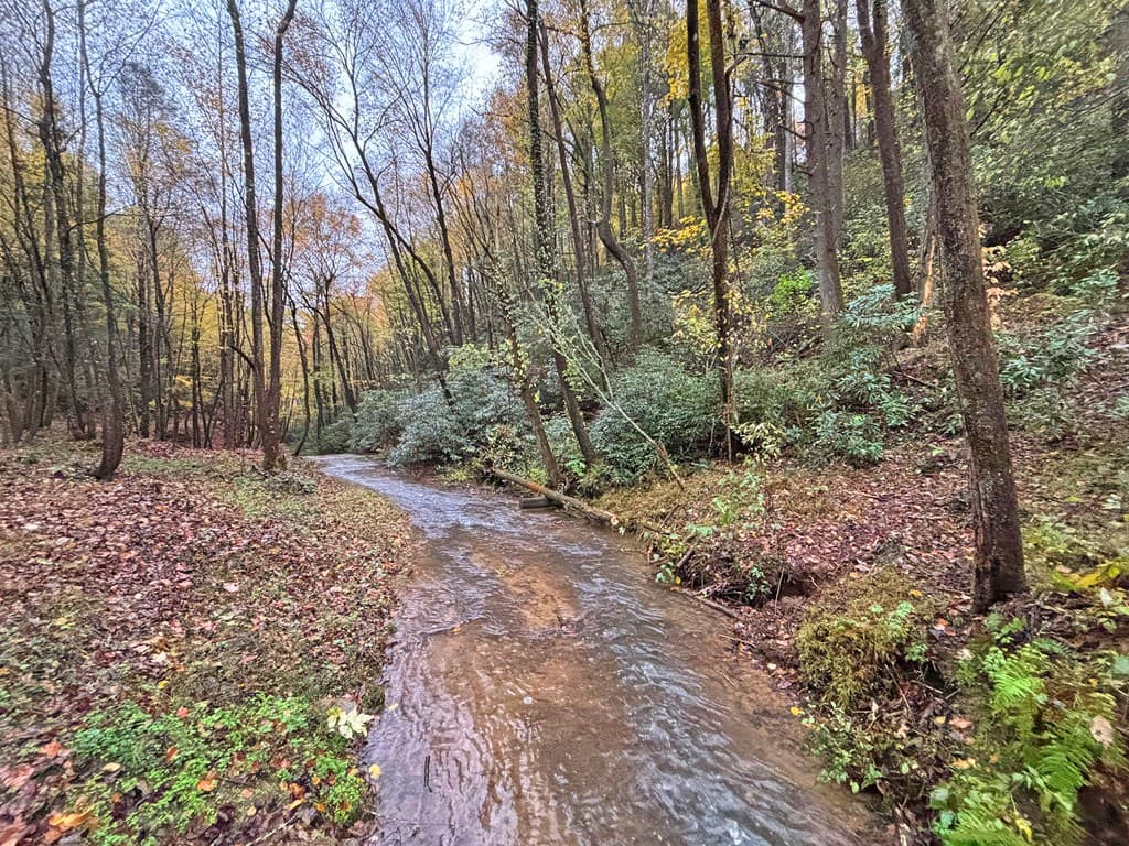 137 Faircloth Drive, Blue Ridge GA 30513 - Photo
