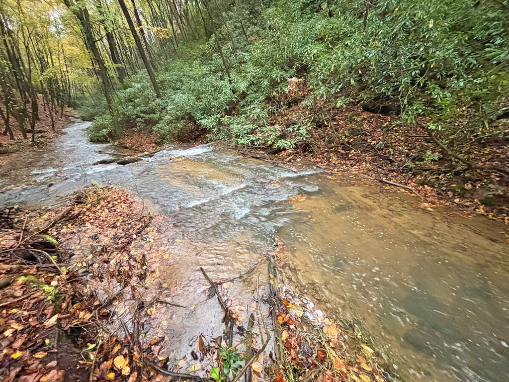 137 Faircloth Drive, Blue Ridge GA 30513 - Photo