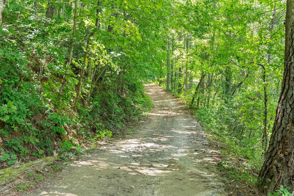 5618 Highway 52, Dawsonville GA 30534 - Photo