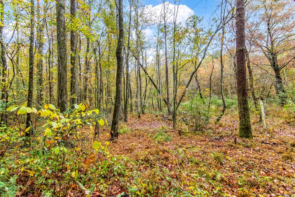 5618 Highway 52, Dawsonville GA 30534 - Photo