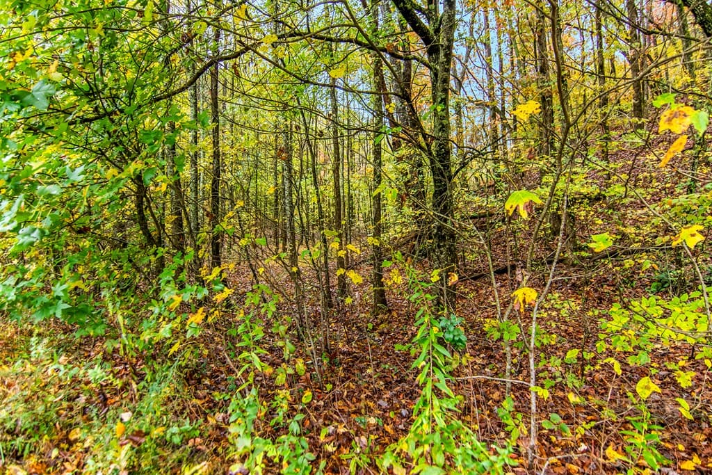 5618 Highway 52, Dawsonville GA 30534 - Photo