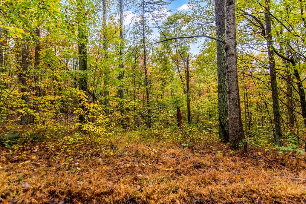 5618 Highway 52, Dawsonville GA 30534 - Photo