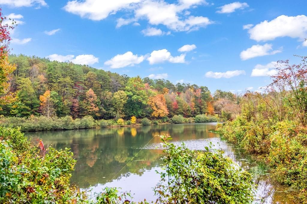 5618 Highway 52, Dawsonville GA 30534 - Primary photo