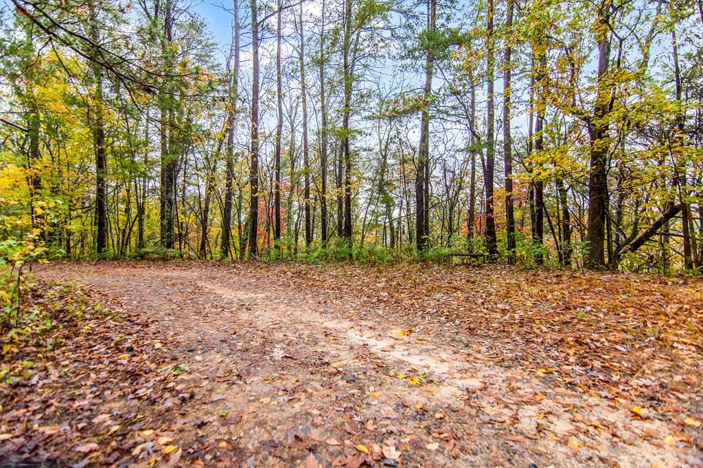 5618 Highway 52, Dawsonville GA 30534 - Photo