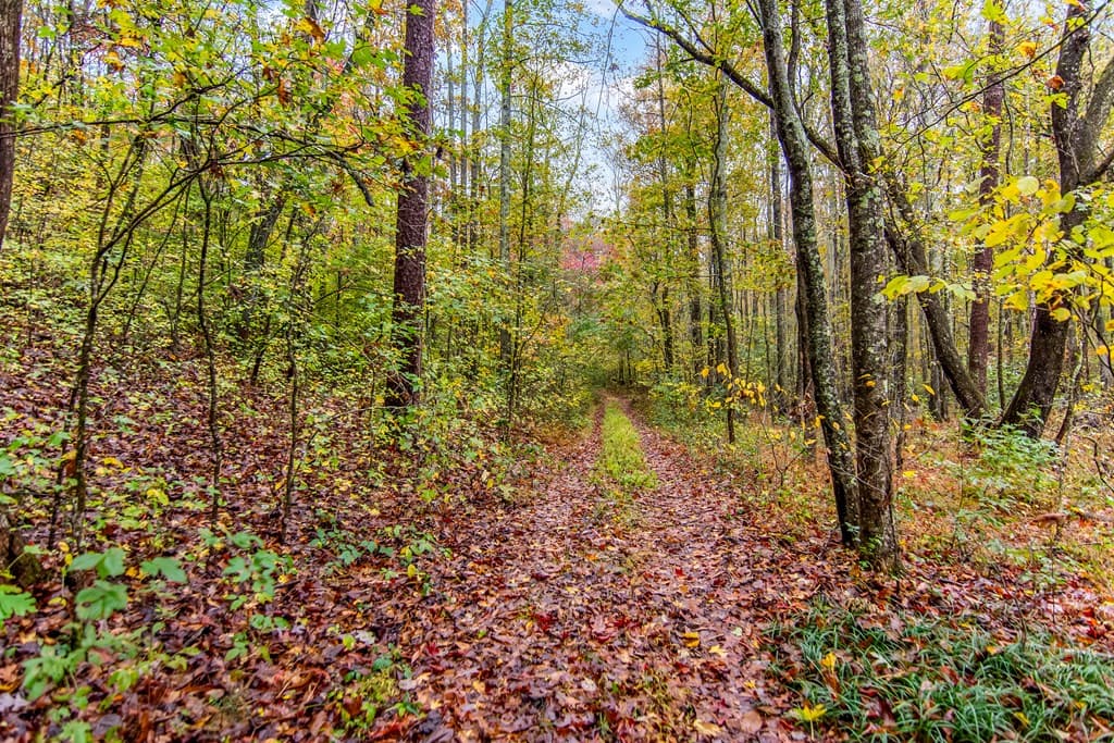 5618 Highway 52, Dawsonville GA 30534 - Photo