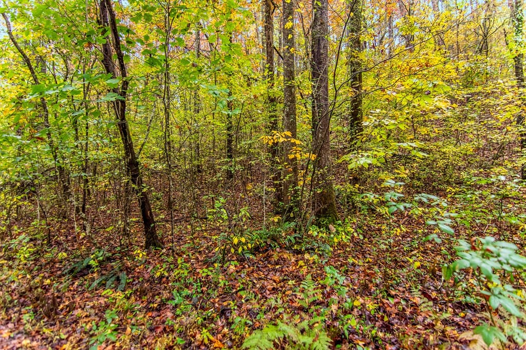5618 Highway 52, Dawsonville GA 30534 - Photo