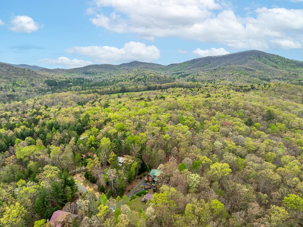 69 Harmony Lane, Blairsville GA 30512 - Photo