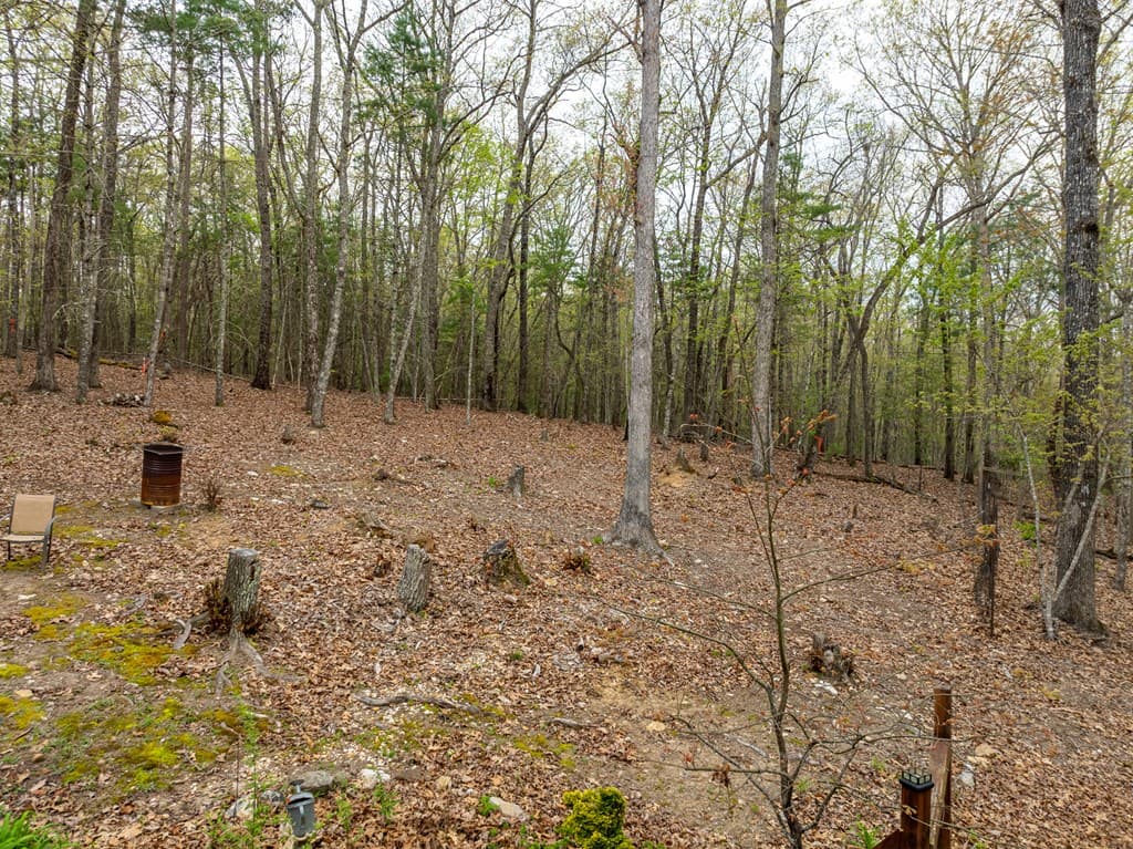 69 Harmony Lane, Blairsville GA 30512 - Photo