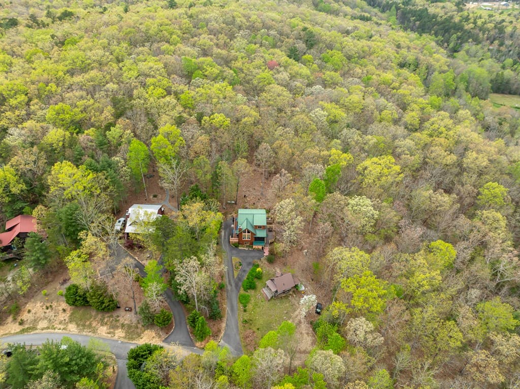 69 Harmony Lane, Blairsville GA 30512 - Photo