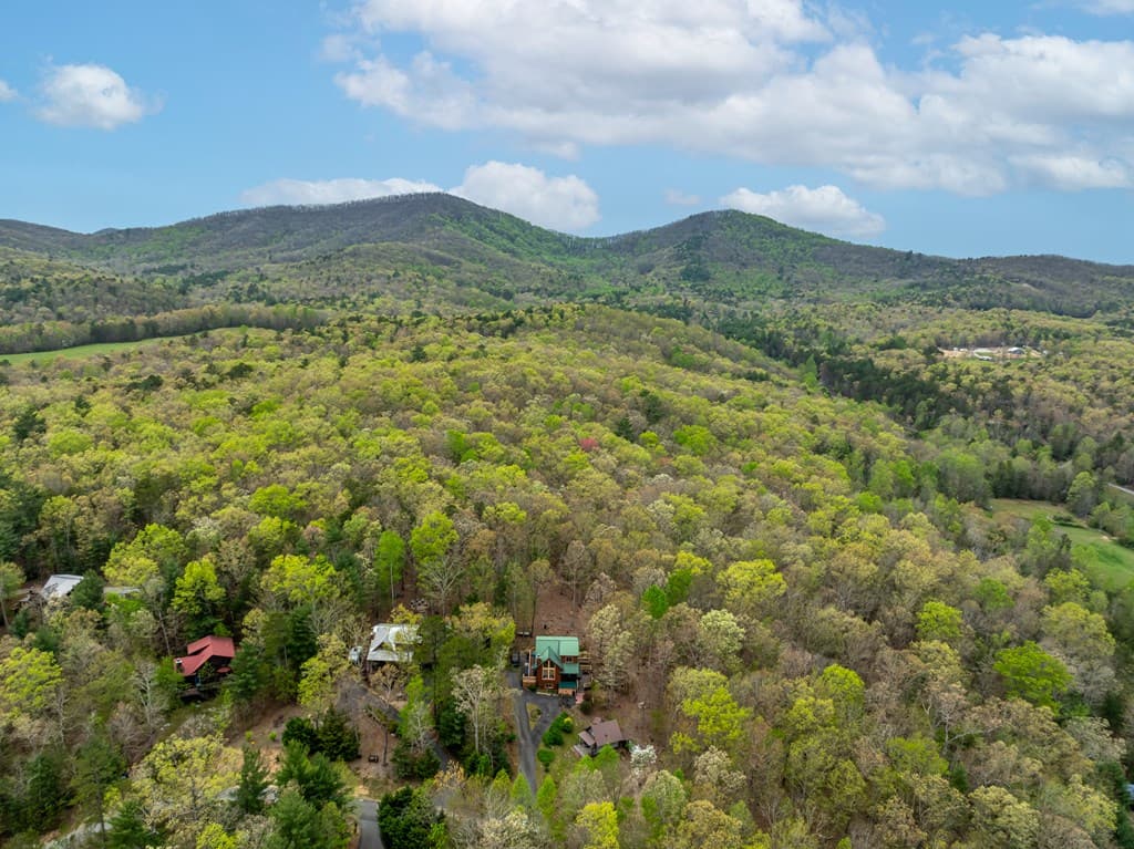 69 Harmony Lane, Blairsville GA 30512 - Photo