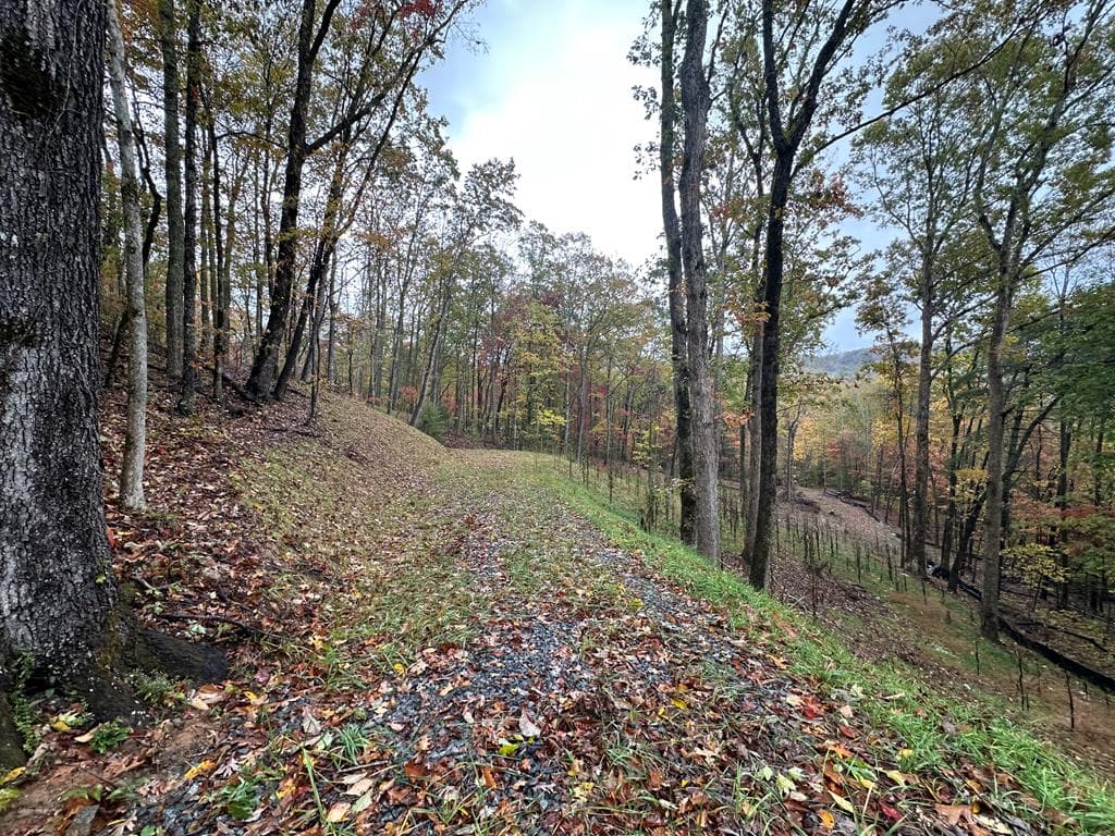 Lot 1A Colbert Mountain Road, Blue Ridge GA 30513 - Photo