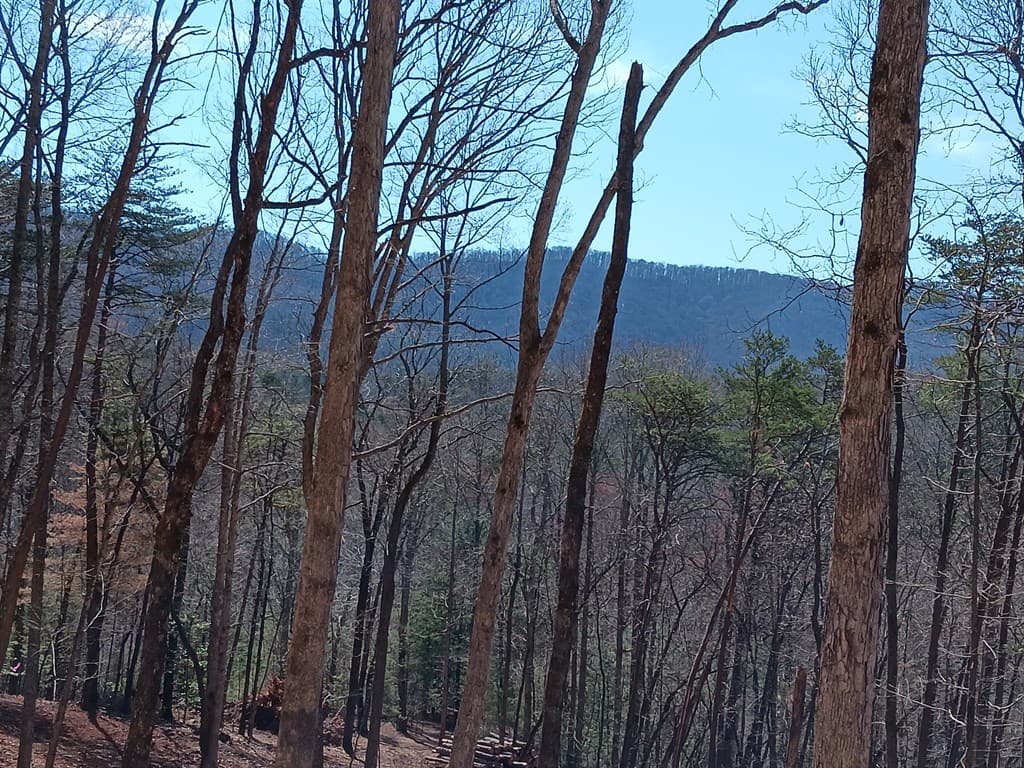 Lot 1A Colbert Mountain Road, Blue Ridge GA 30513 - Photo