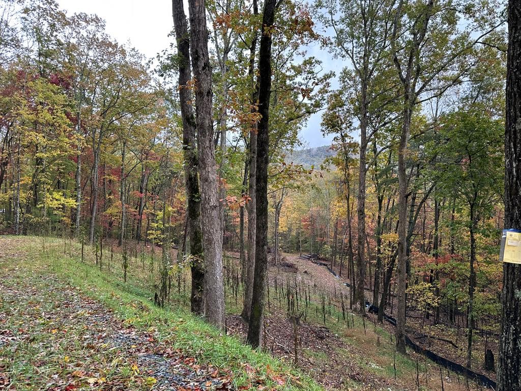 Lot 1A Colbert Mountain Road, Blue Ridge GA 30513 - Photo