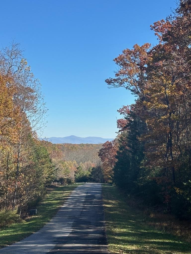 08 Courtney Ln Lot 8, Blairsville GA 30512 - Primary photo