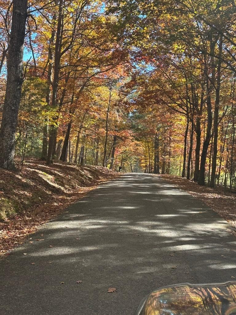08 Courtney Ln Lot 8, Blairsville GA 30512 - Photo