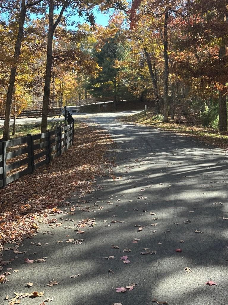 08 Courtney Ln Lot 8, Blairsville GA 30512 - Photo