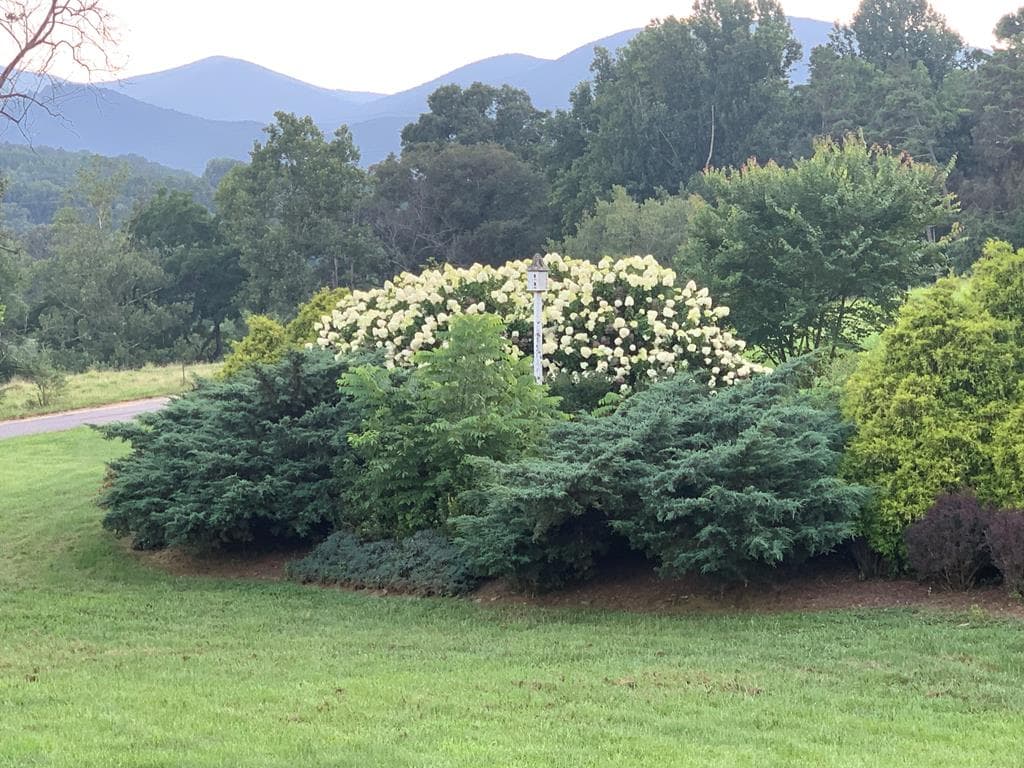 208 Rich Drive, Blairsville GA 30512 - Photo