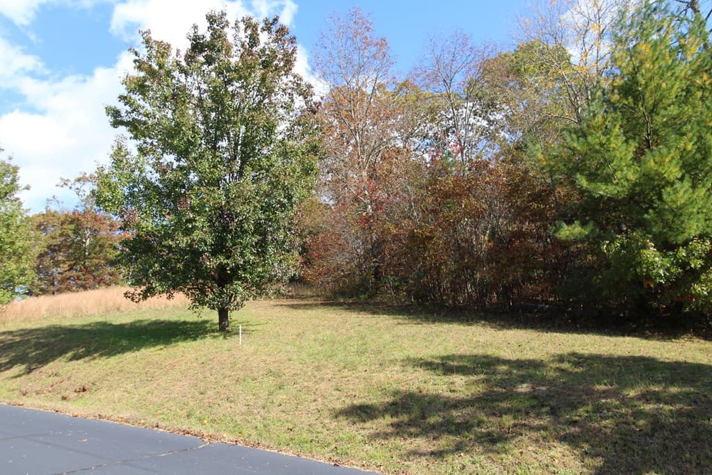 Lot 17 Old Taylors Ferry Ridge, Murphy NC 28906 - Photo