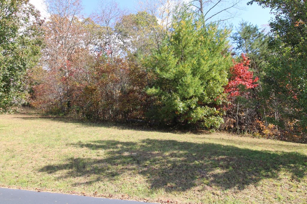 Lot 17 Old Taylors Ferry Ridge, Murphy NC 28906 - Photo