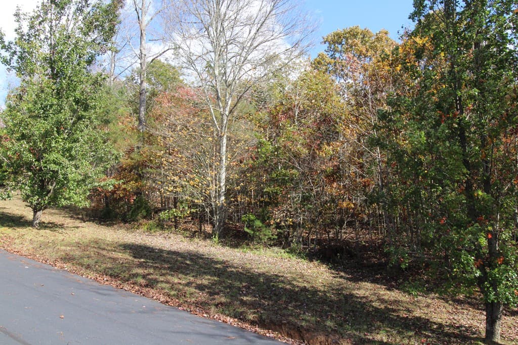 Lot 17 Old Taylors Ferry Ridge, Murphy NC 28906 - Photo