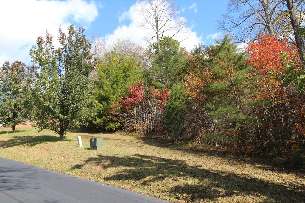 Lot 17 Old Taylors Ferry Ridge, Murphy NC 28906 - Photo