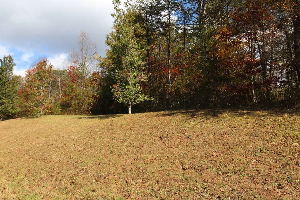Lot 17 Old Taylors Ferry Ridge, Murphy NC 28906 - Photo