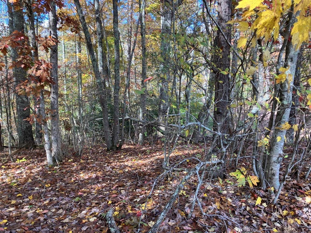 39 Acres Hedden Stiles Road, Murphy NC 28906 - Photo
