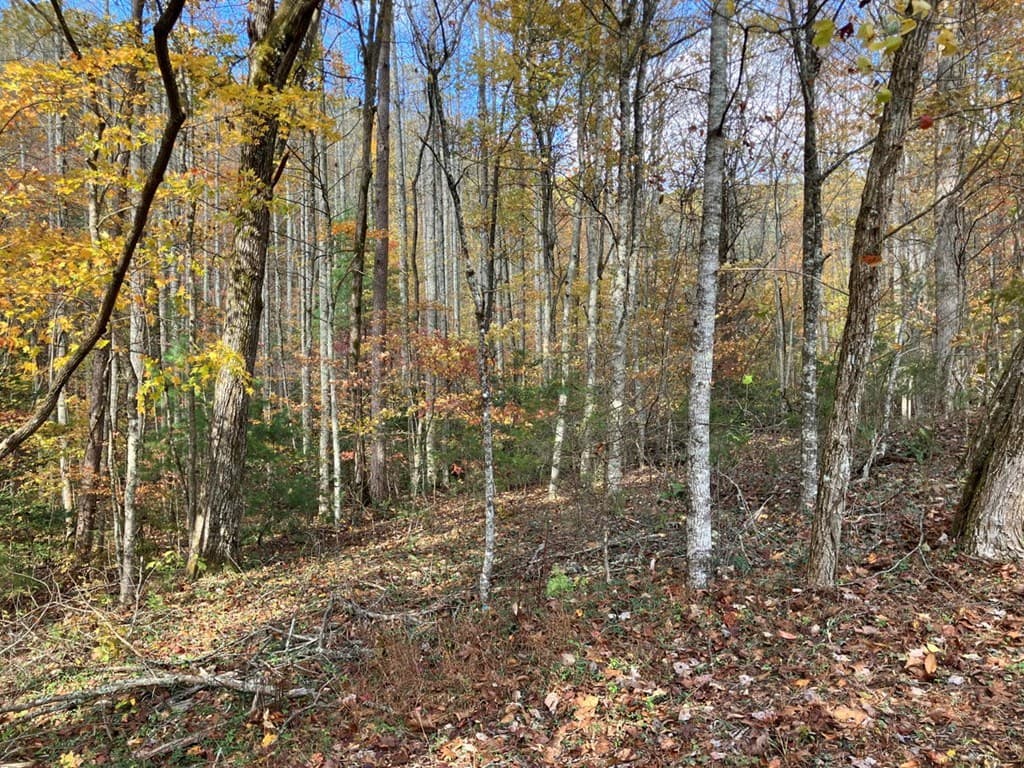 39 Acres Hedden Stiles Road, Murphy NC 28906 - Photo