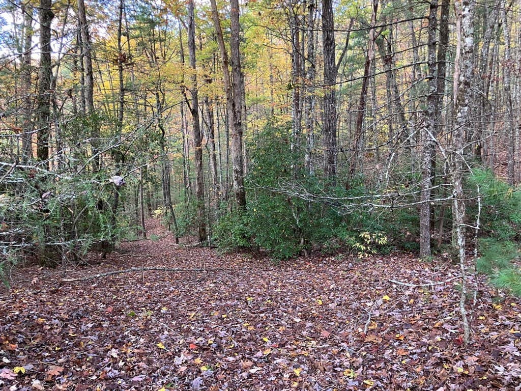 39 Acres Hedden Stiles Road, Murphy NC 28906 - Photo
