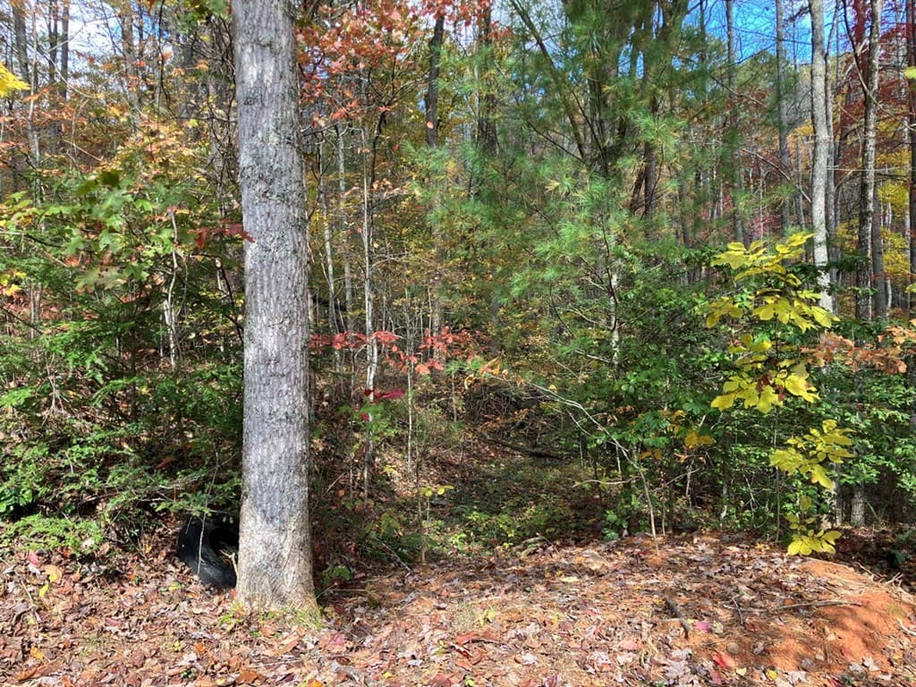 39 Acres Hedden Stiles Road, Murphy NC 28906 - Photo