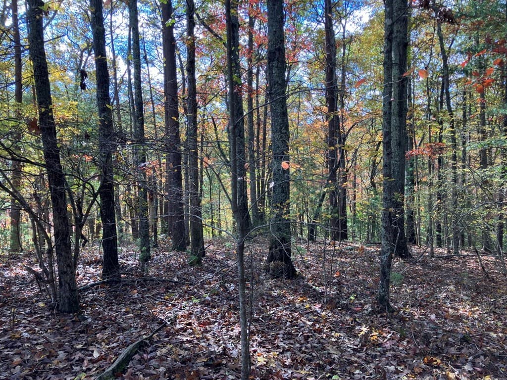 39 Acres Hedden Stiles Road, Murphy NC 28906 - Photo