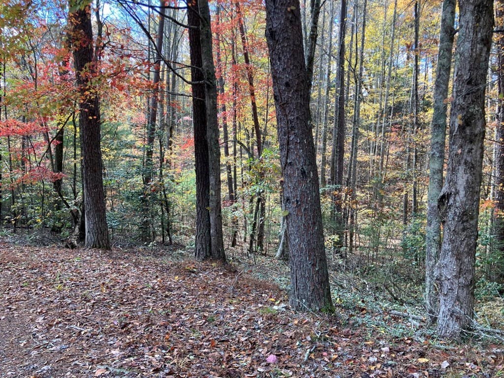 39 Acres Hedden Stiles Road, Murphy NC 28906 - Photo