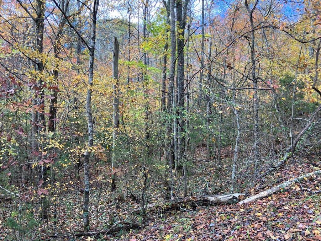 39 Acres Hedden Stiles Road, Murphy NC 28906 - Photo