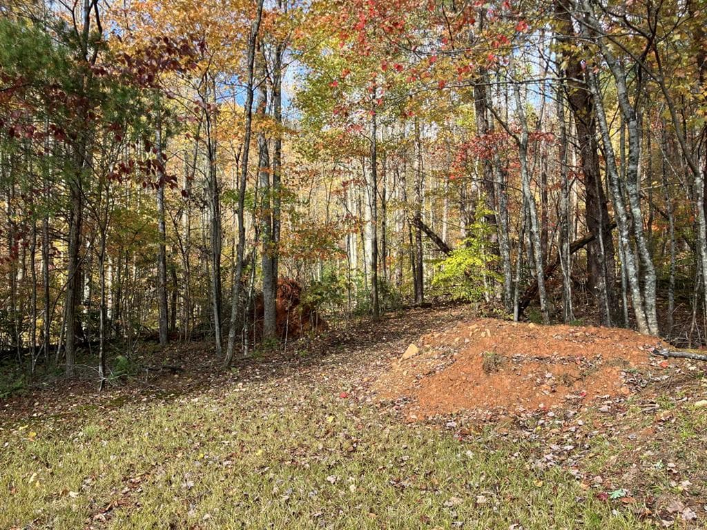 39 Acres Hedden Stiles Road, Murphy NC 28906 - Primary photo