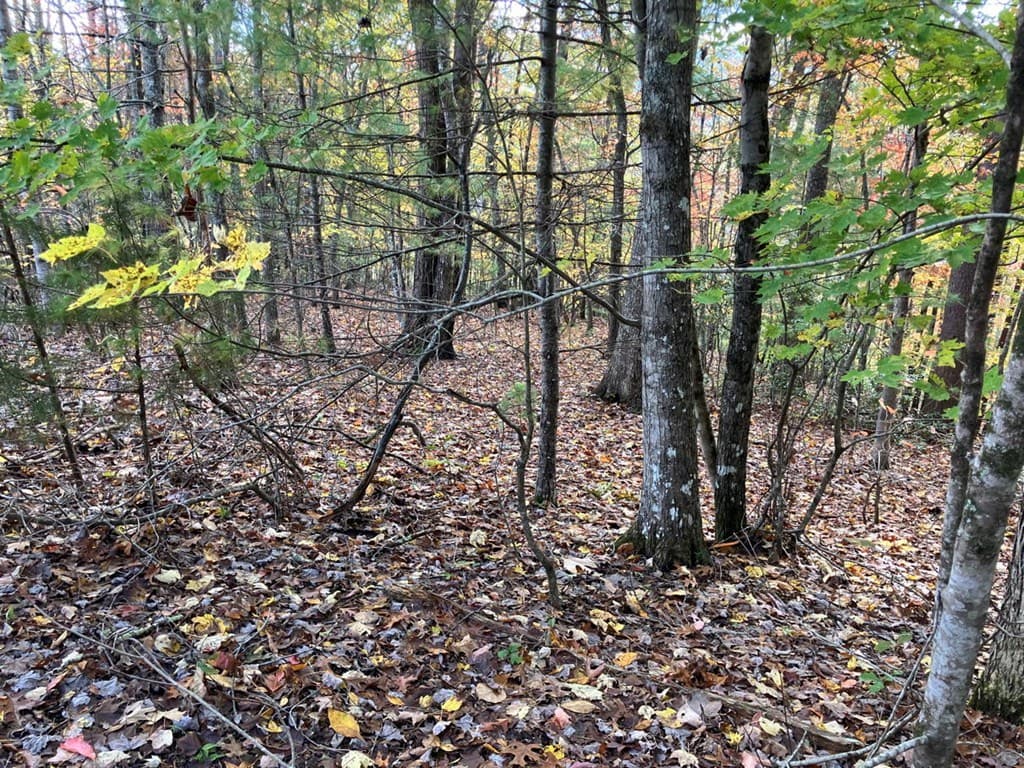 39 Acres Hedden Stiles Road, Murphy NC 28906 - Photo