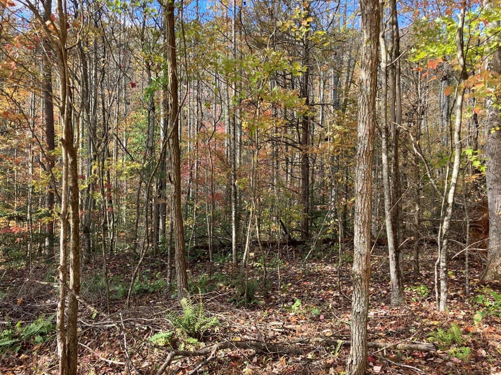 39 Acres Hedden Stiles Road, Murphy NC 28906 - Photo