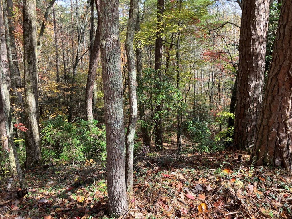 39 Acres Hedden Stiles Road, Murphy NC 28906 - Photo