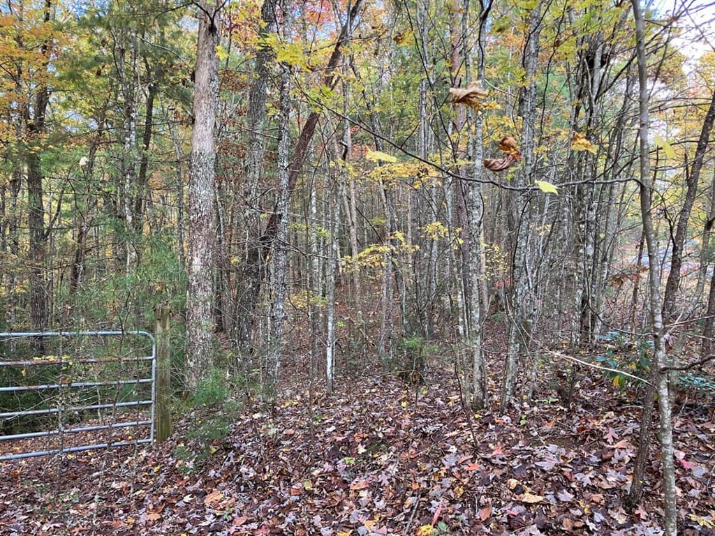 39 Acres Hedden Stiles Road, Murphy NC 28906 - Photo