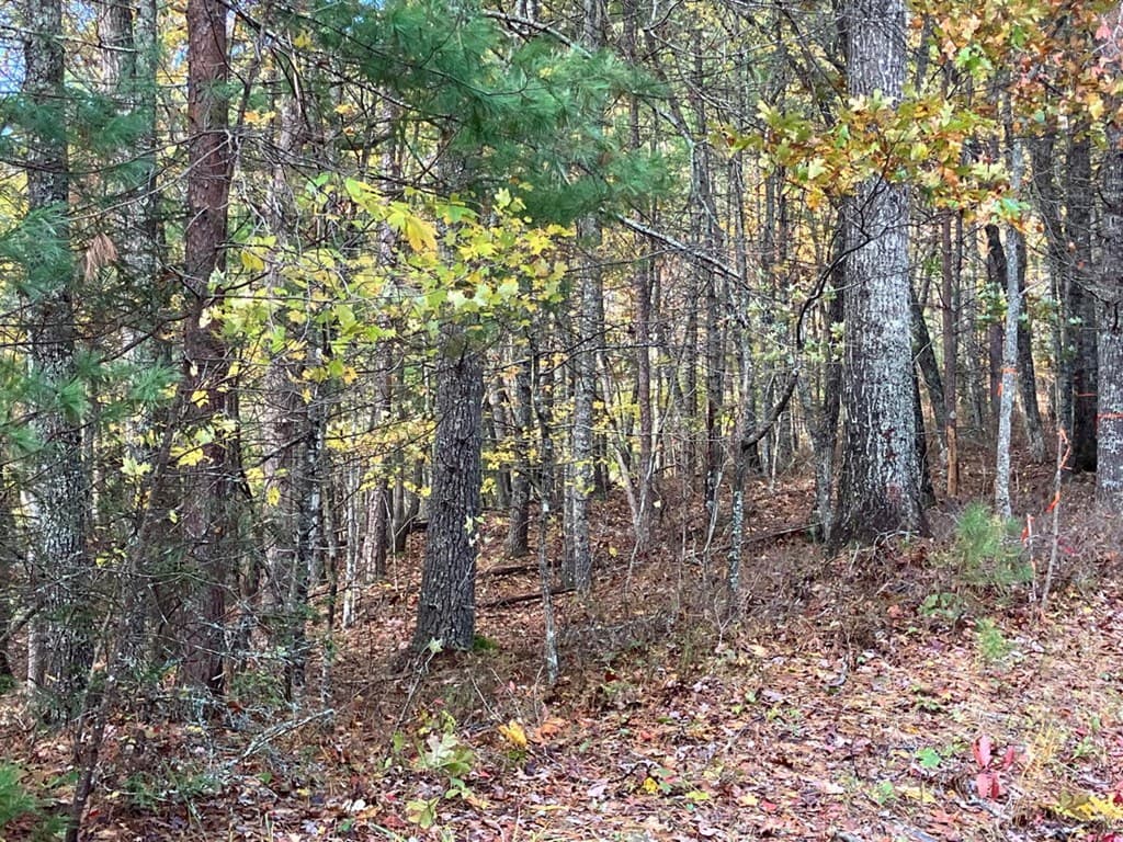 39 Acres Hedden Stiles Road, Murphy NC 28906 - Photo