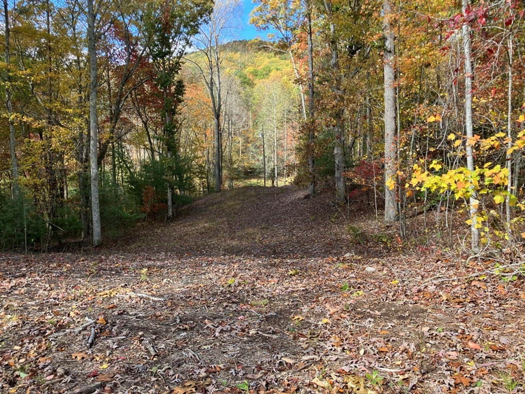 39 Acres Hedden Stiles Road, Murphy NC 28906 - Photo