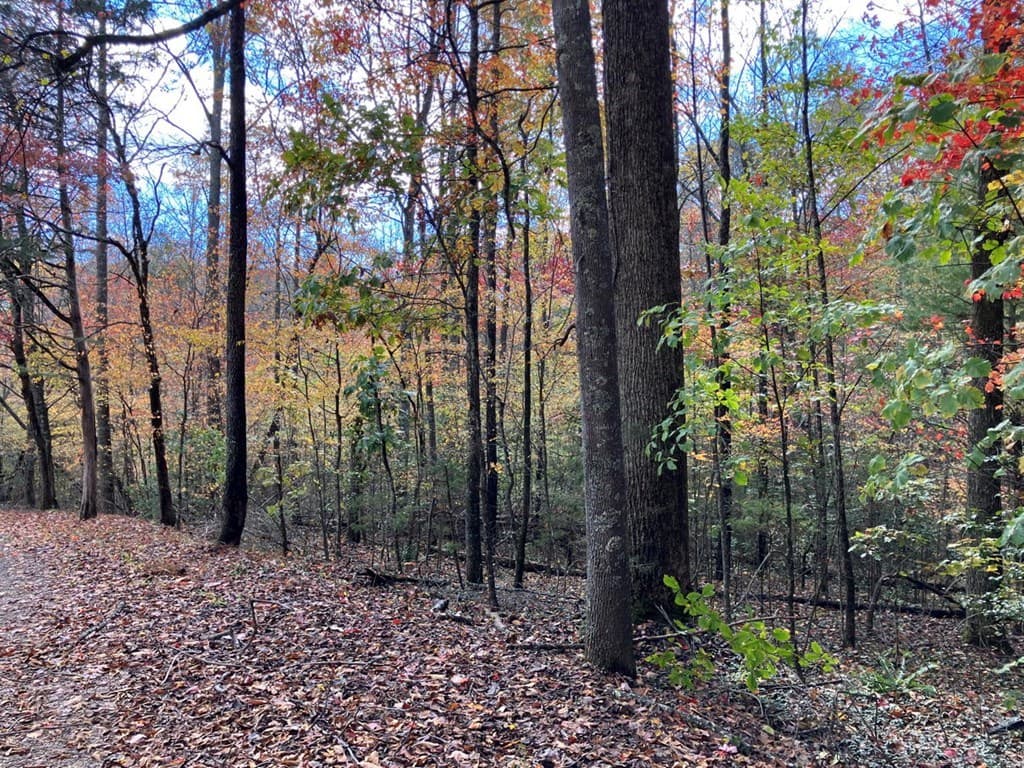 39 Acres Hedden Stiles Road, Murphy NC 28906 - Photo