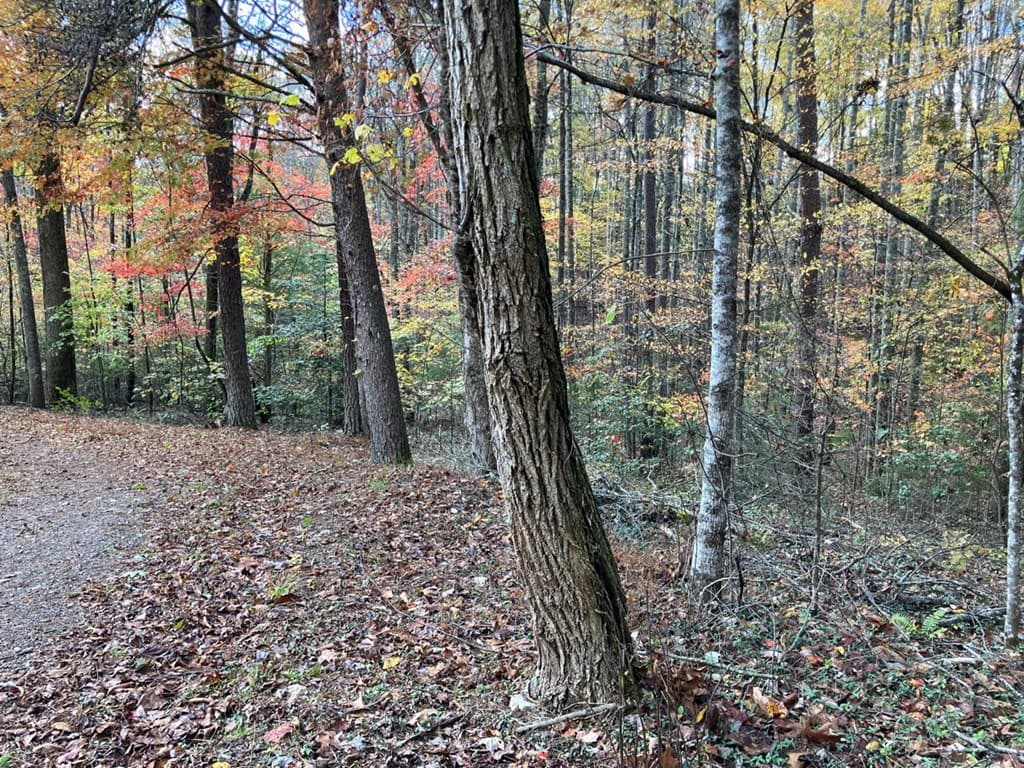 39 Acres Hedden Stiles Road, Murphy NC 28906 - Photo