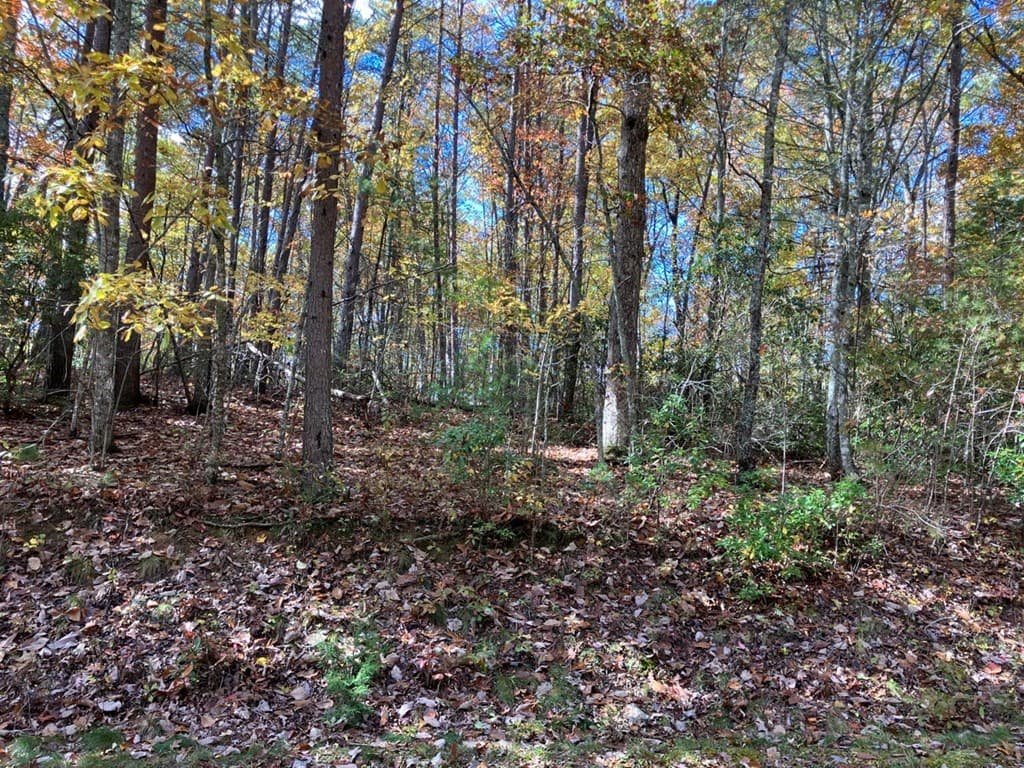 39 Acres Hedden Stiles Road, Murphy NC 28906 - Photo