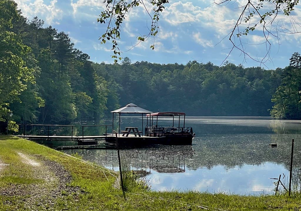 432 Daisy Log Road, Blairsville GA 30512 - Photo