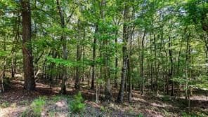 925 Arrow Trail #2, Waleska GA 30183 - Photo