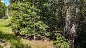 925 Arrow Trail #2, Waleska GA 30183 - Photo