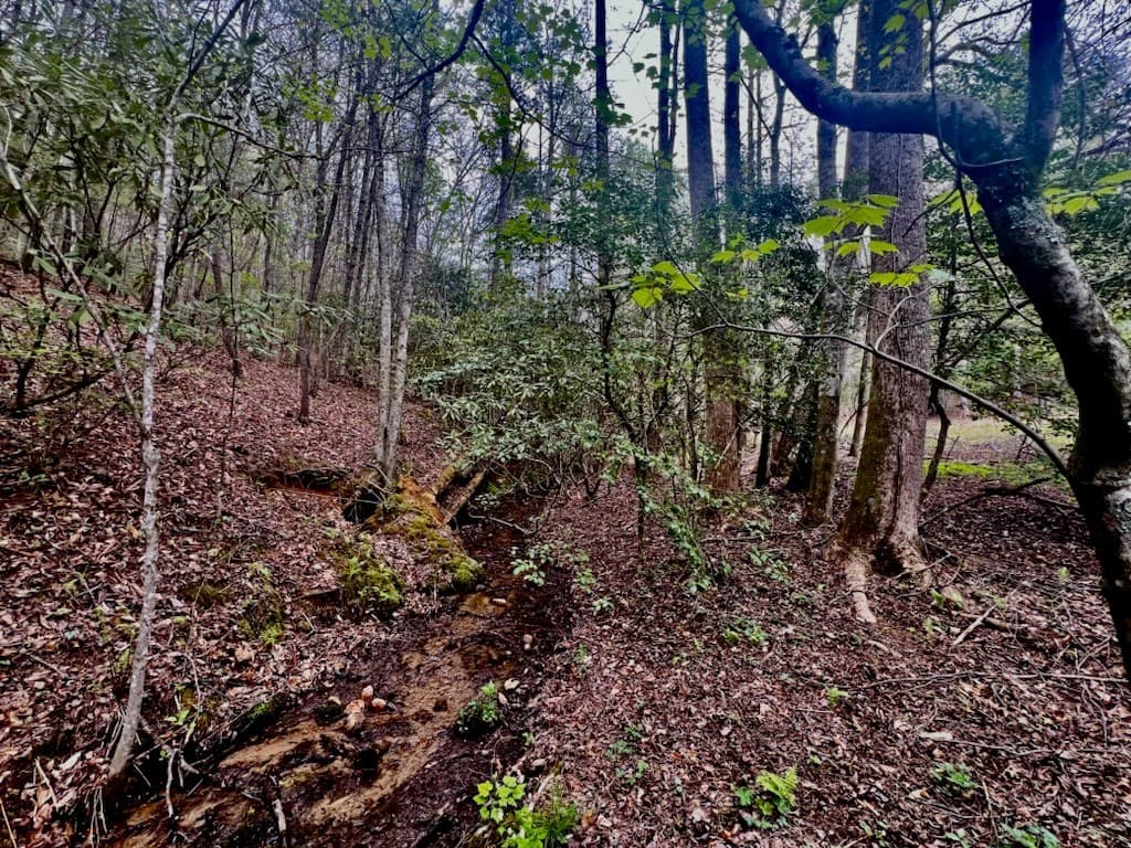 16378 Hwy 64, Murphy NC 28906 - Photo