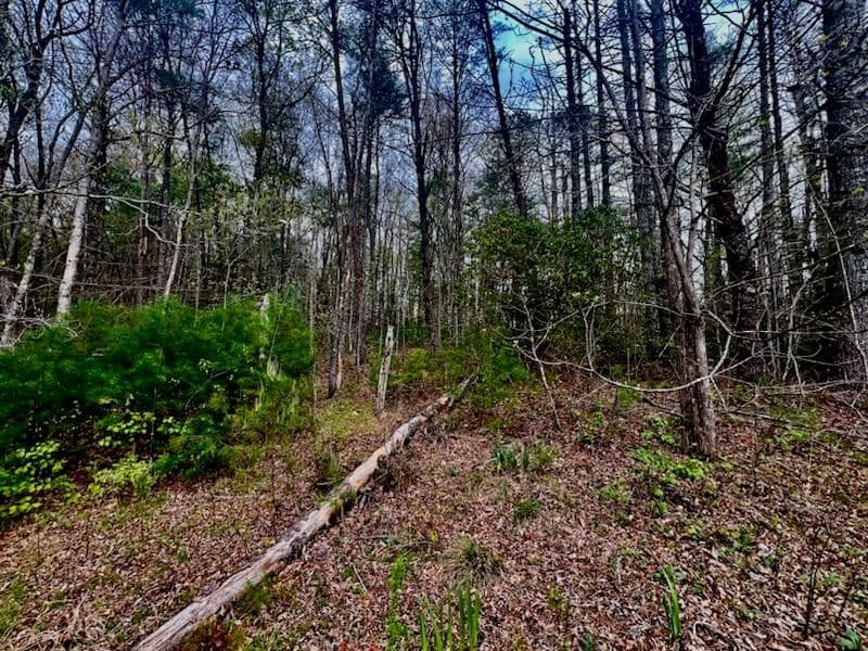 16378 Hwy 64, Murphy NC 28906 - Photo